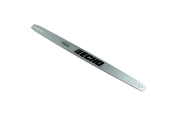 Echo-27D0PS3893C-22.jpg
