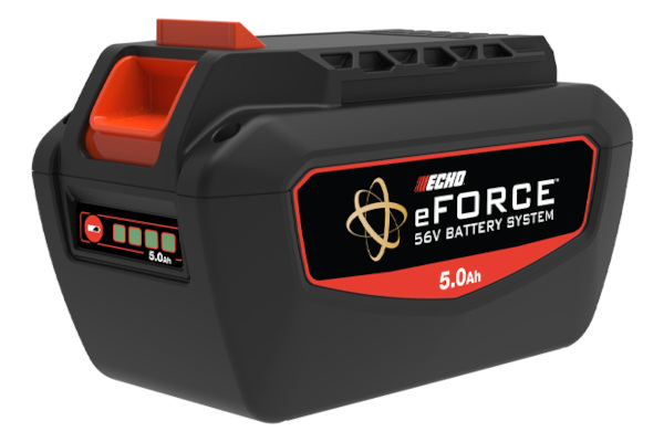 Echo-LPB-56V250b-21.jpg