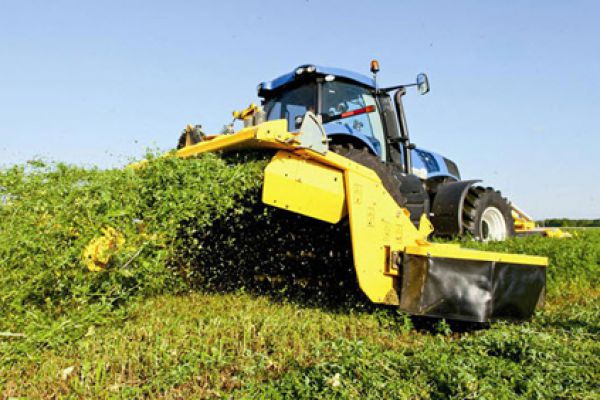 CroppedImage600400-MegaCutter530-large.jpg